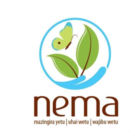 National Environment Management Authority (NEMA)